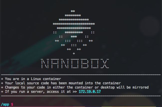 nanobox run